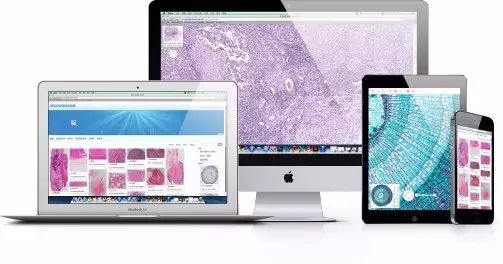 ˵��:https://mmbiz.qlogo.cn/mmbiz_jpg/oPdVXYSFYymRYB280gZ2NrlByqM1QcRd57HCRlSJLRrOdKokwGjiaRcE2u5zRuiaaZtQoRX6KF94Z25RzL4wIQXQ/0?wx_fmt=jpeg