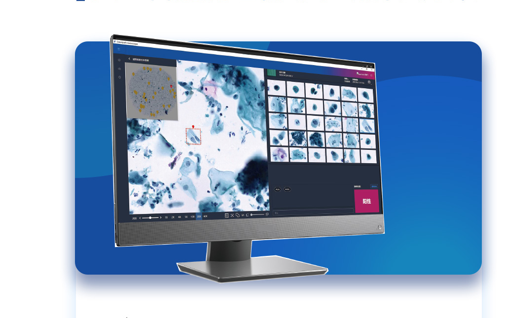 �˹����ܲ���������Ͻ������