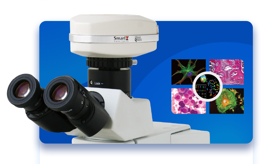 ���ֳ���������